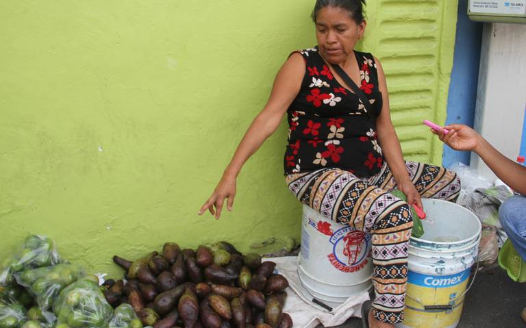 Precio de aguacate por las nubes y el chinini entra al quite… ¿por barato?