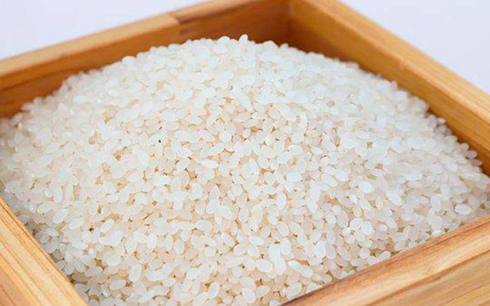 Cae producción de arroz; ¿problema afectará a Veracruz?