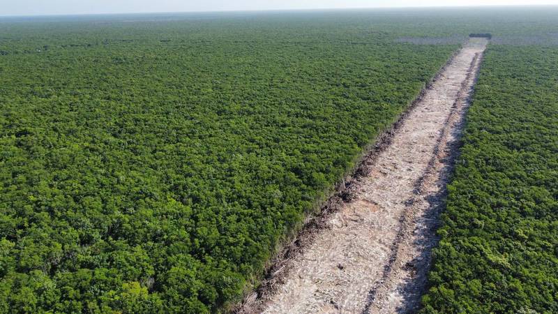 ‘Luz verde’ al Tramo 5: Gobierno declara al Tren Maya como obra de seguridad nacional