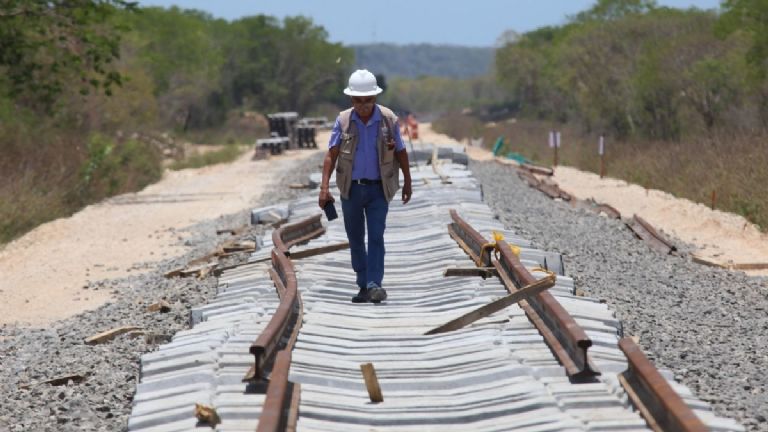 Greenpeace continuará campaña contra el tramo 5 del Tren Maya: «es completamente ilegal»