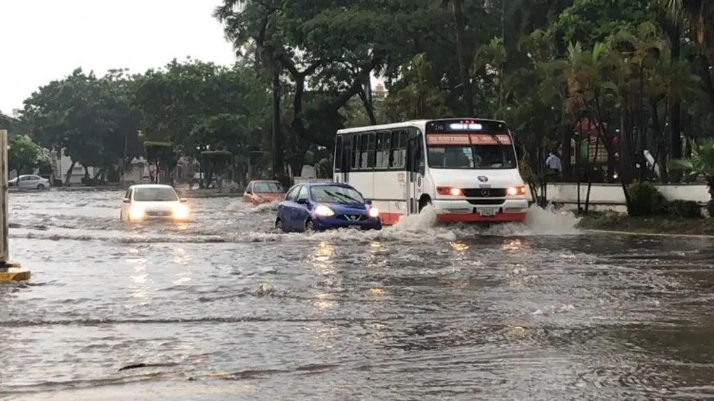 Hay Alerta Gris en Veracruz para tomar precauciones porque siguen las lluvias