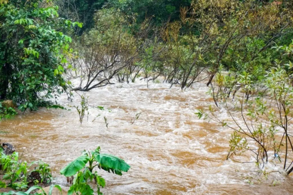 Río Papaloapan está en descenso: Conagua