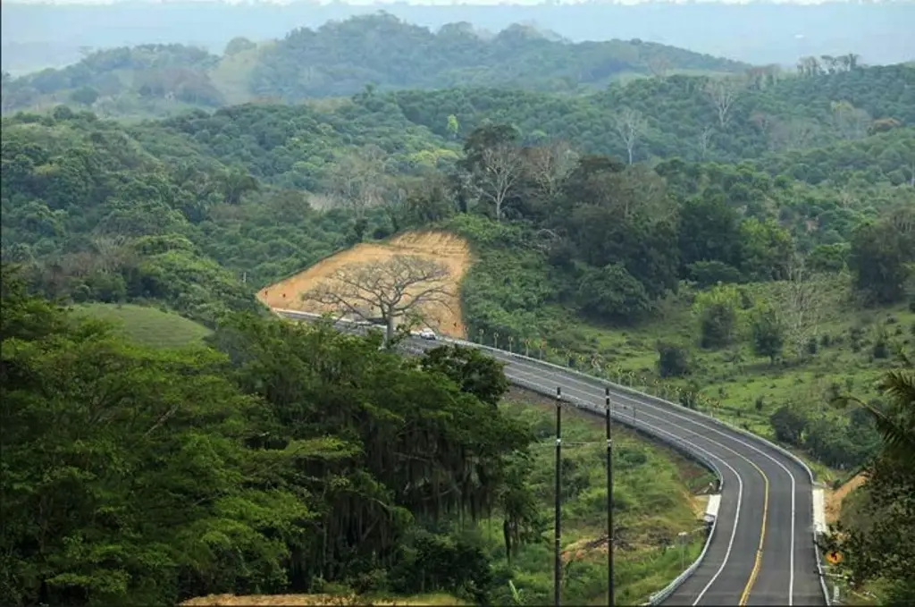 Asaltan a 40 automovilistas en autopista de Veracruz, en menos de una hora