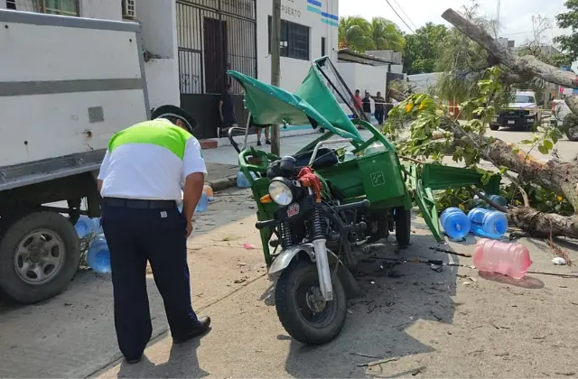 Muere Ramón aplastado por árbol mientras repartía agua en Coatzacoalcos