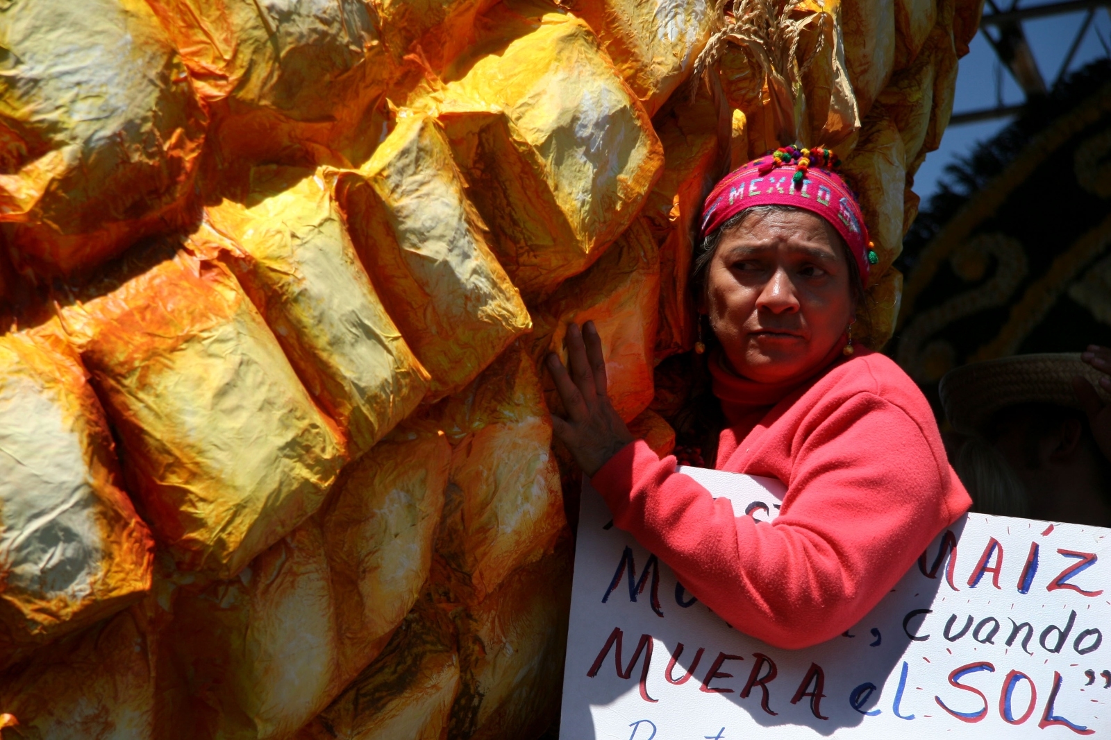 Senadores de EU piden elevar al T-MEC el rechazo de AMLO a su maíz transgénico