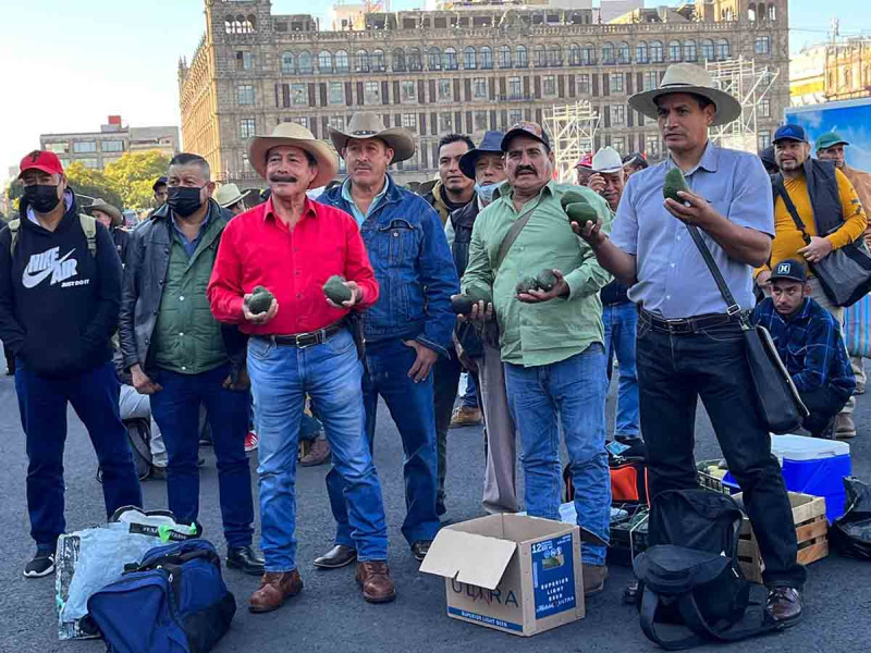 Productores de aguacate protestan en el Zócalo, exigen precio justo y atención