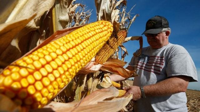 Secretario de EU habla con AMLO de veto a maíz transgénico; amaga con recurrir al TMEC