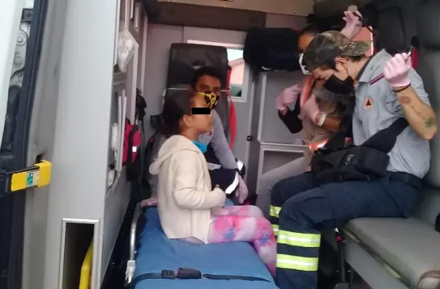 Picadura masiva de abejas a niños y maestros en primaria de Xalapa