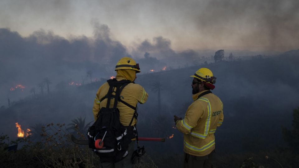 Feroz incendio forestal de Viña del Mar que arrasa con casas y vegetación