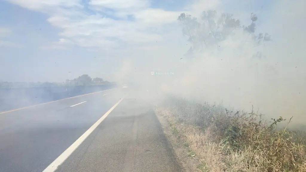 Se registra incendio de pastizal en La Antigua, Veracruz