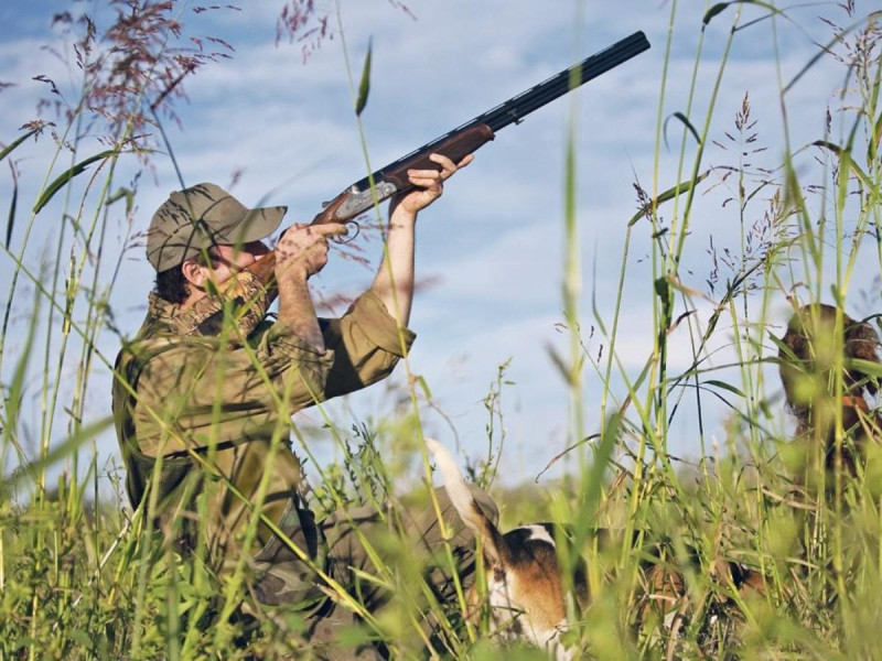 Perro mata por accidente a su dueño tras pisar su rifle mientras iba de caza