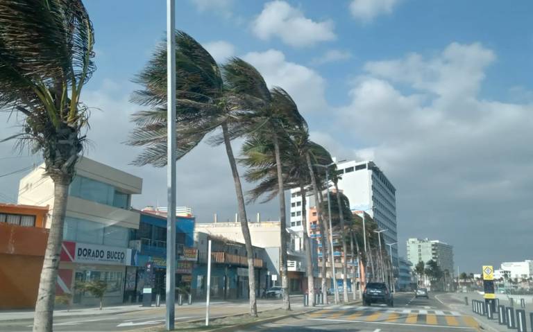 ¡Hasta nuevo aviso! Cierran puerto de Veracruz a navegación mayor y menor