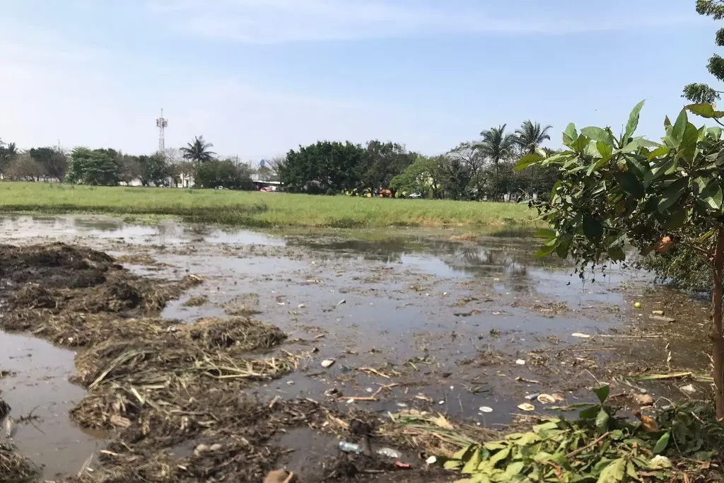 Sedema invertirá 14 mdp en remediación de Laguna Lagartos, en Veracruz