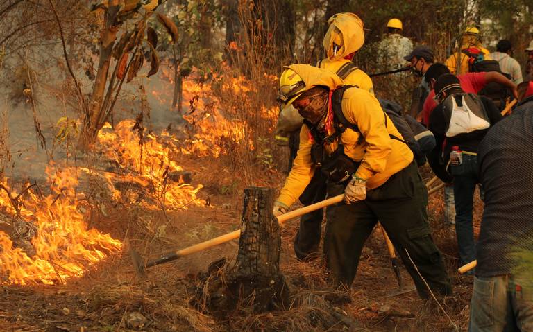 Veracruz es tercer lugar nacional en incendios forestales; ¿cuántos van en 2023?