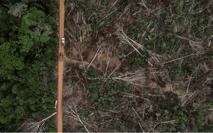 Deforestación en la Amazonía brasileña cae 61% en primer mes de Lula