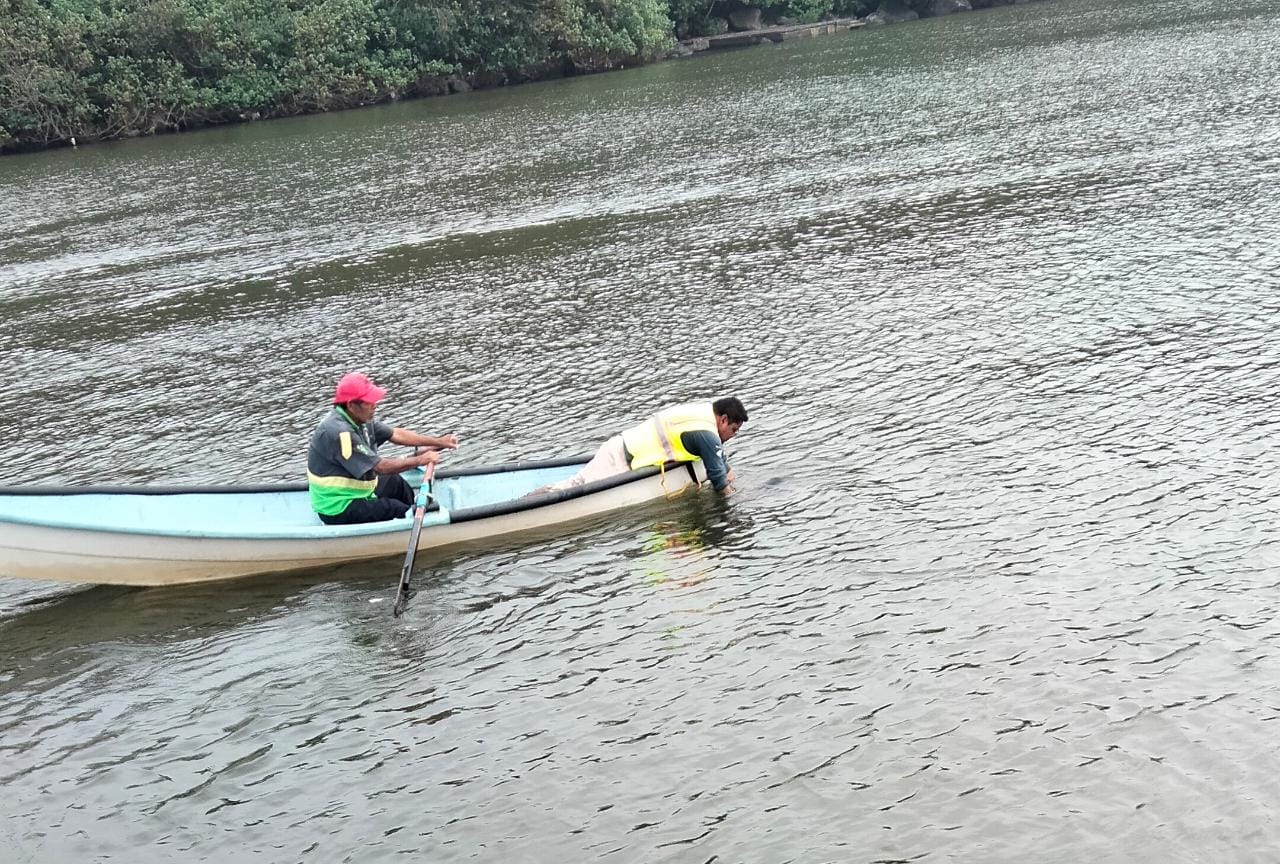 🚨 Localizan a persona desaparecida en playa de “La Barra de Sontecomapan”