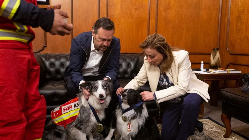 Balam y Orly, los perros rescatistas que fueron a Turquía, fueron reconocidos en Querétaro