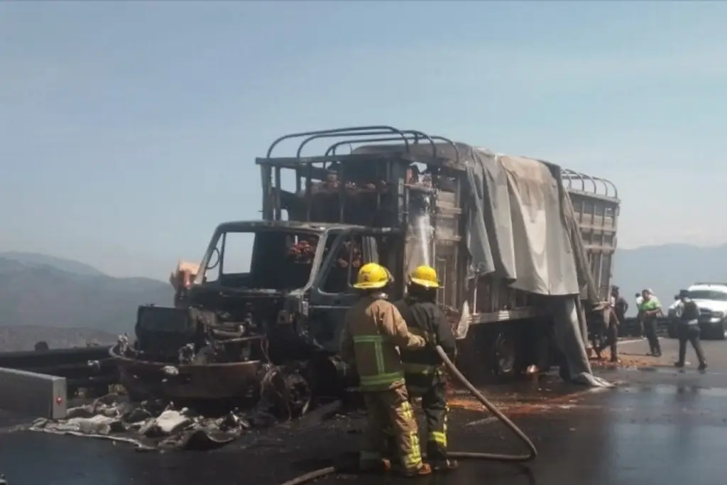 Se incendia camión en autopista de Veracruz, en minutos roban mercancía que transportaba