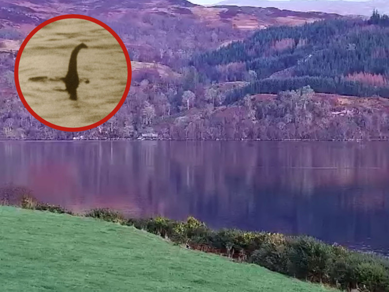 ¿Lo halló? Hombre graba en video al monstruo del Lago Ness y enloquece las redes