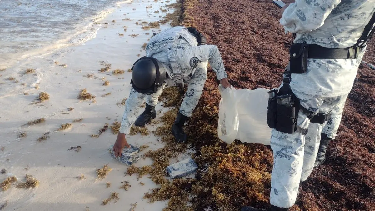 ¿’Nieve’ en el Caribe? Decomisan droga oculta entre el sargazo en playa de Quintana Roo