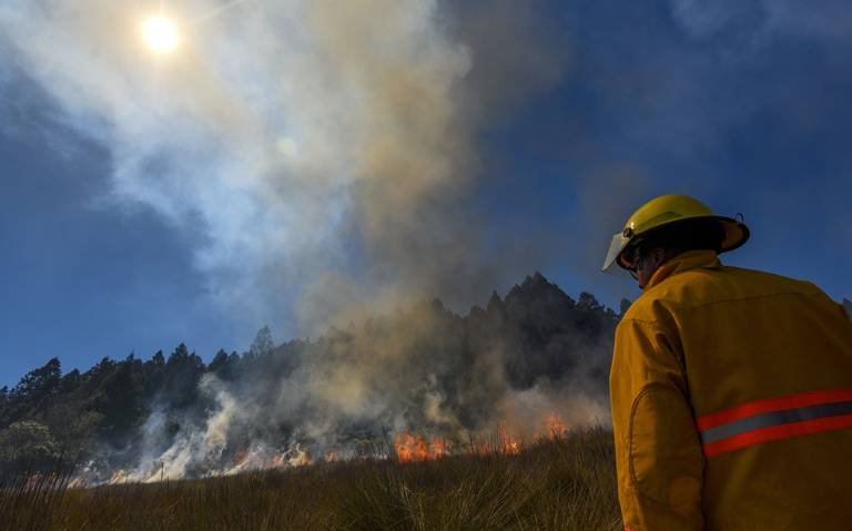 Incendios forestales en Veracruz no cesan: siguen seis activos