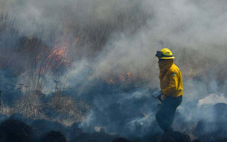 ¡No paran! Combaten cinco incendios en territorio veracruzano