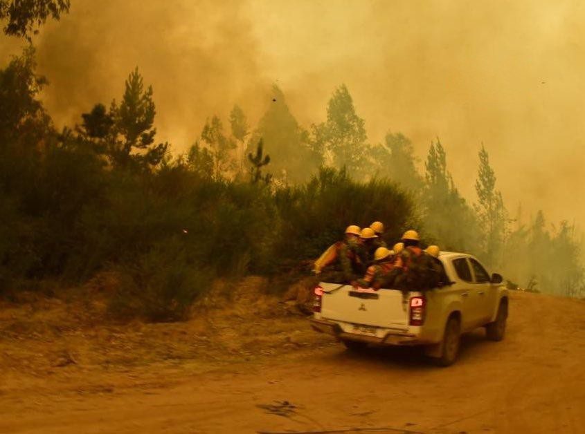 Registrados más de 60 incendios forestales durante 2023 en Veracruz