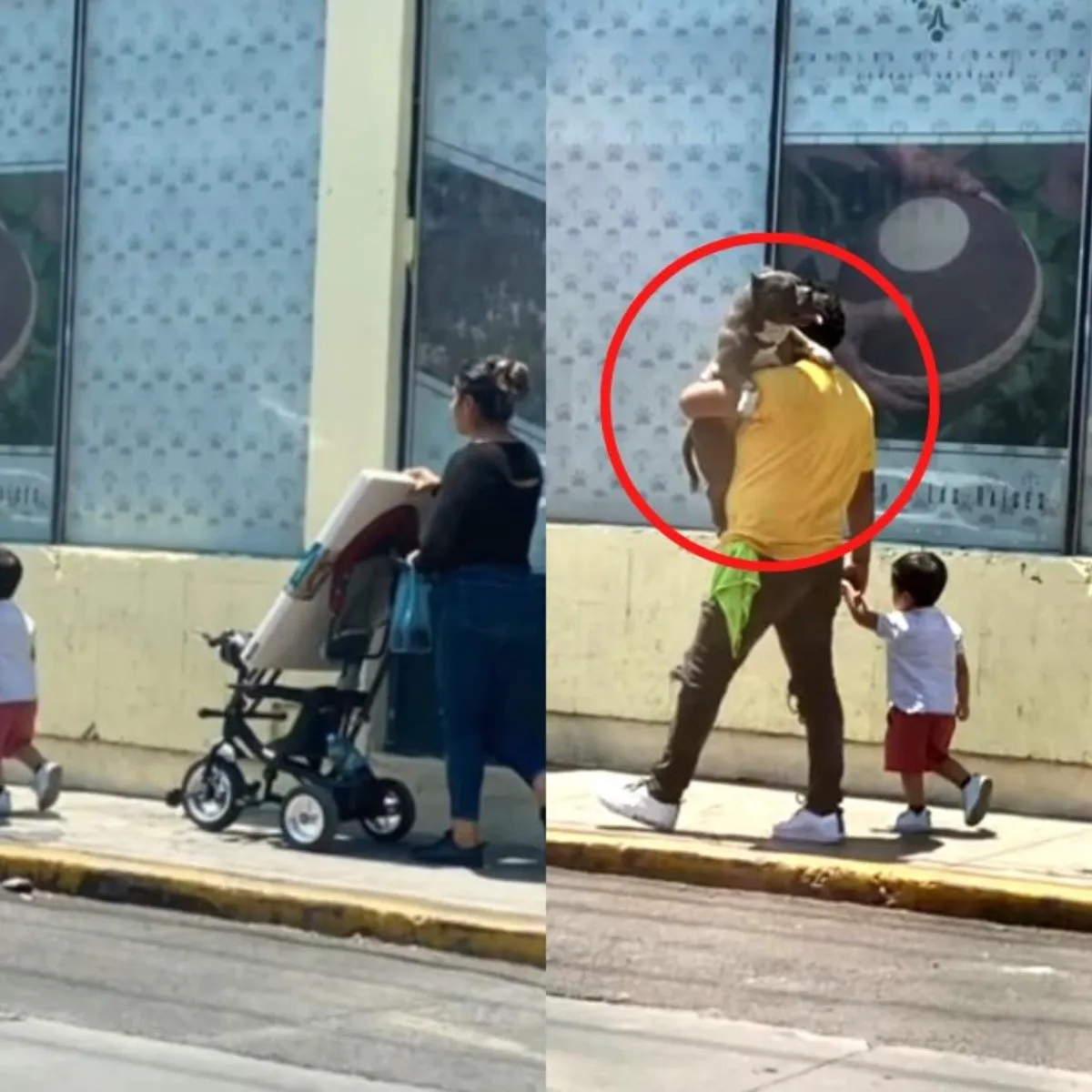 ¿Empatía? Cargan a perrito porque no quería que se quemara sus patitas 🐾