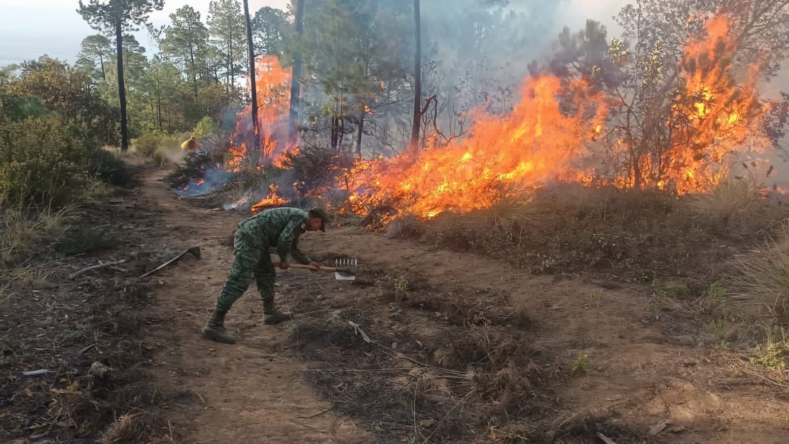 Alcalde de Las Vigas celebra decreto gubernamental para castigar a responsables de incendios forestales