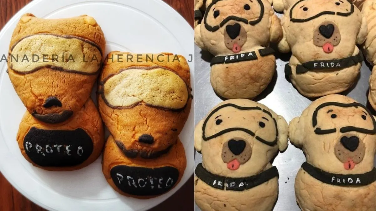 Con amor, para Proteo y Frida: Panadería poblana hace conchas para honrar a perros rescatistas