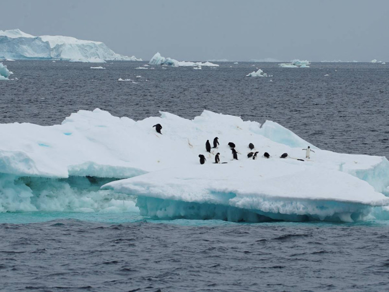 Glaciares se derriten en tiempo récord, alerta la ONU, pero se desacelera aumento de temperatura