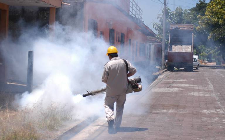 «Vamos iniciando» la temporada de dengue, advierte el IMSS