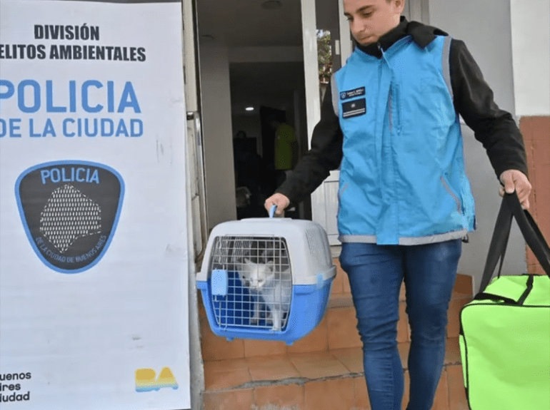 ‘Karen’ enloqueció… la mandan al psiquiatra por t0rturar y comerse a los michis