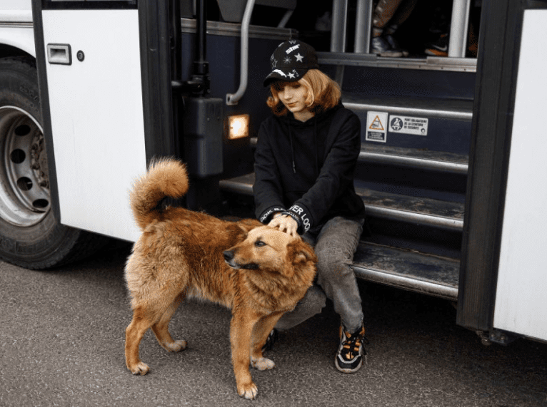 Lanzan propuesta de ley para que perros y gatos sean ‘legalmente’ miembros de la familia