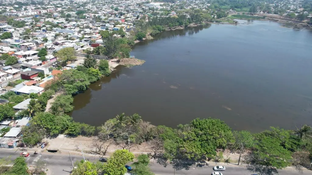 Fauna regresa a la laguna Lagartos de Veracruz