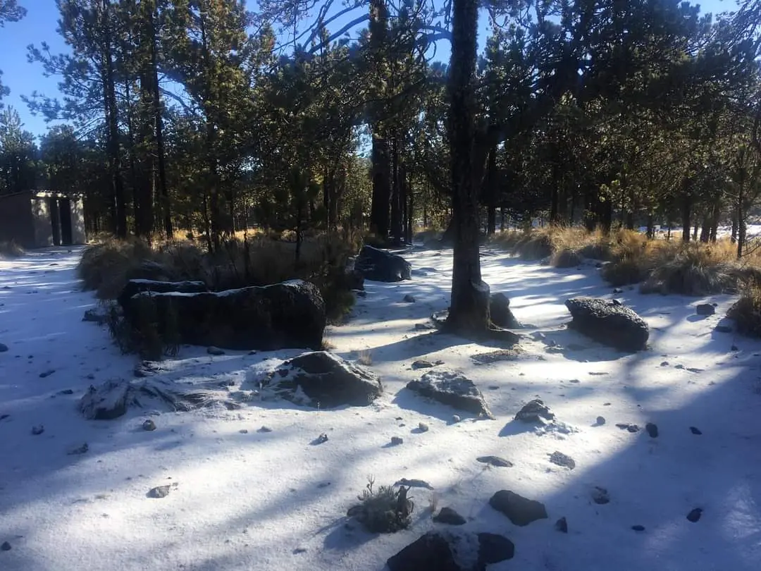 En plena primavera, cae nieve en el Cofre de Perote