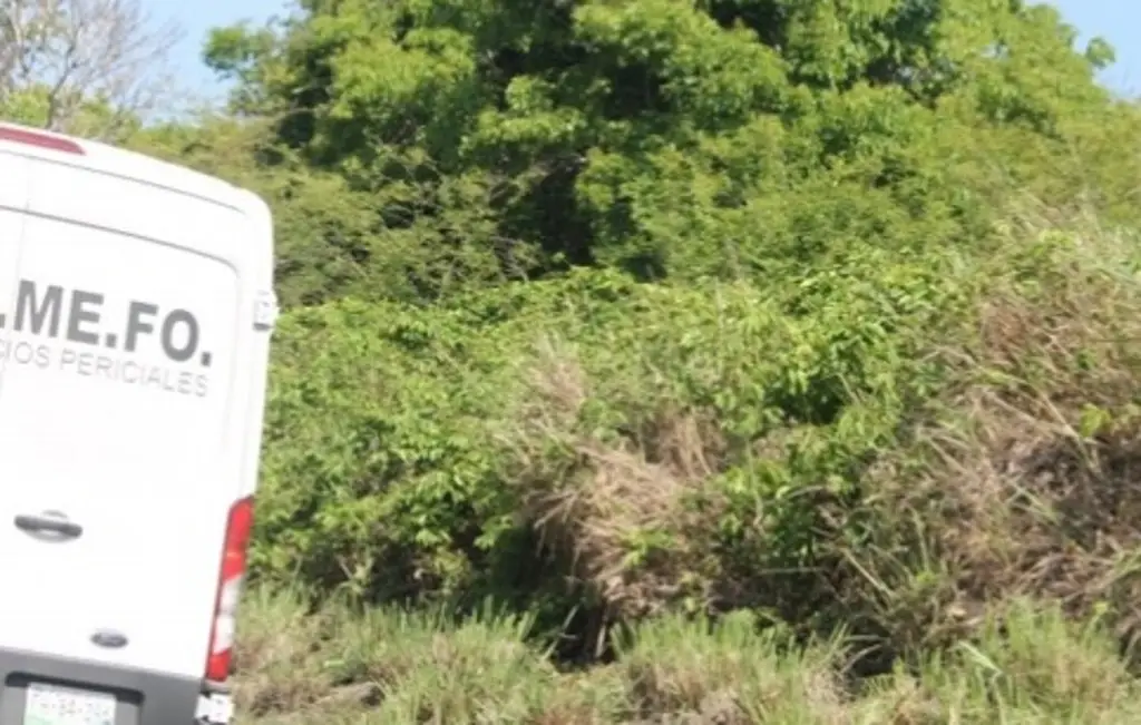 Hallan cuerpos de pareja a pocos metros de carretera de Veracruz