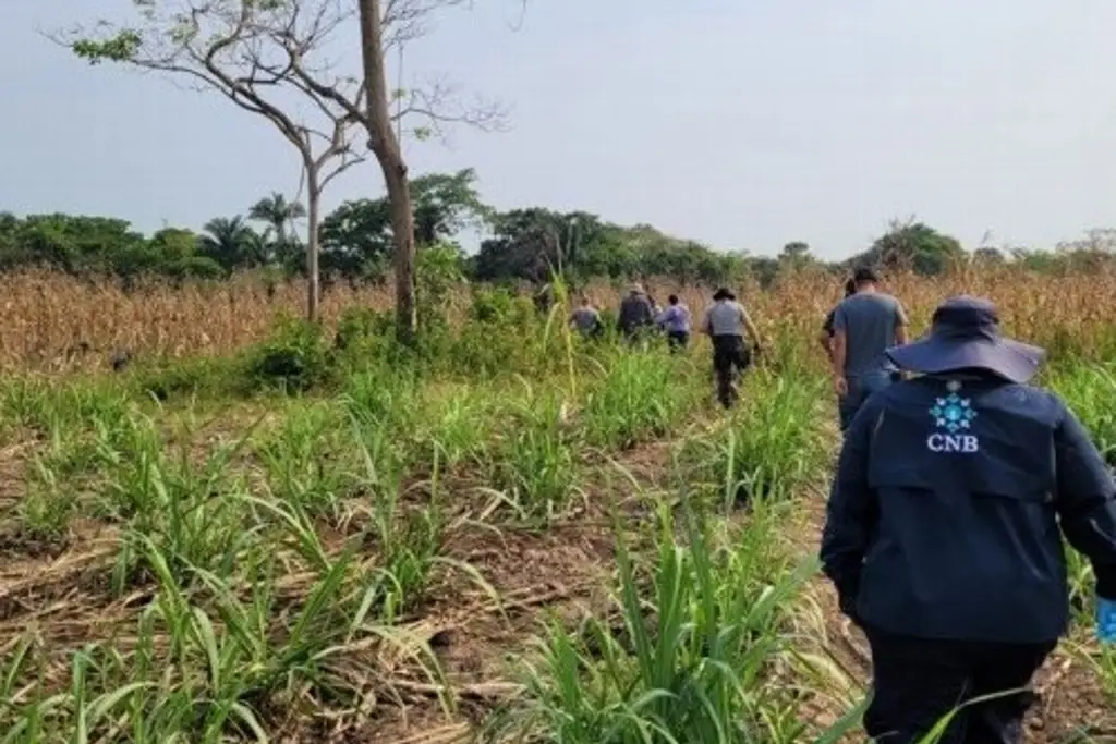 Sin identificar osamenta localizada en pozo de Villarín, Veracruz: Colectivo