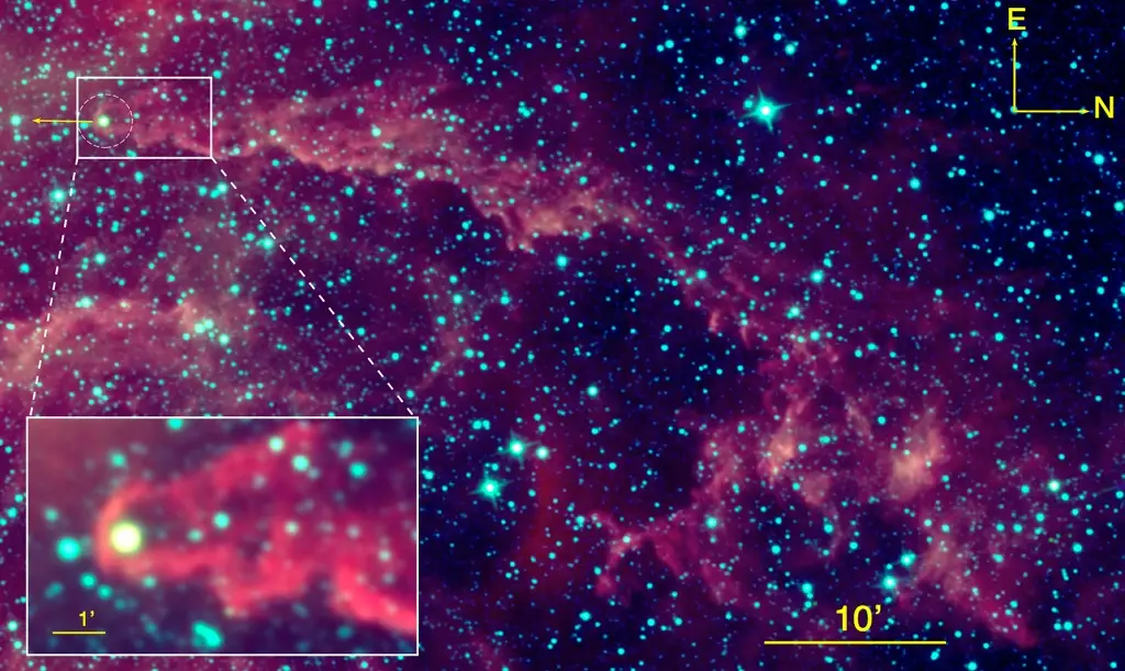 Descubren una estrella joven que es un caso único en el universo conocido