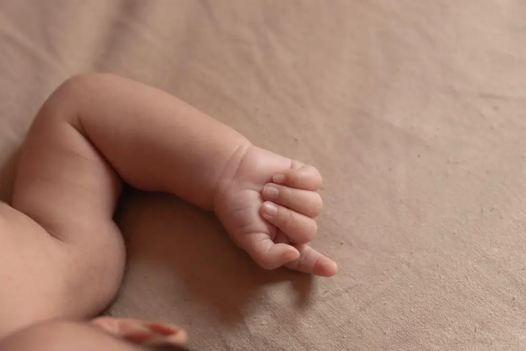 Niño de 2 años pierde brazo tras meterlo en un molino de carne