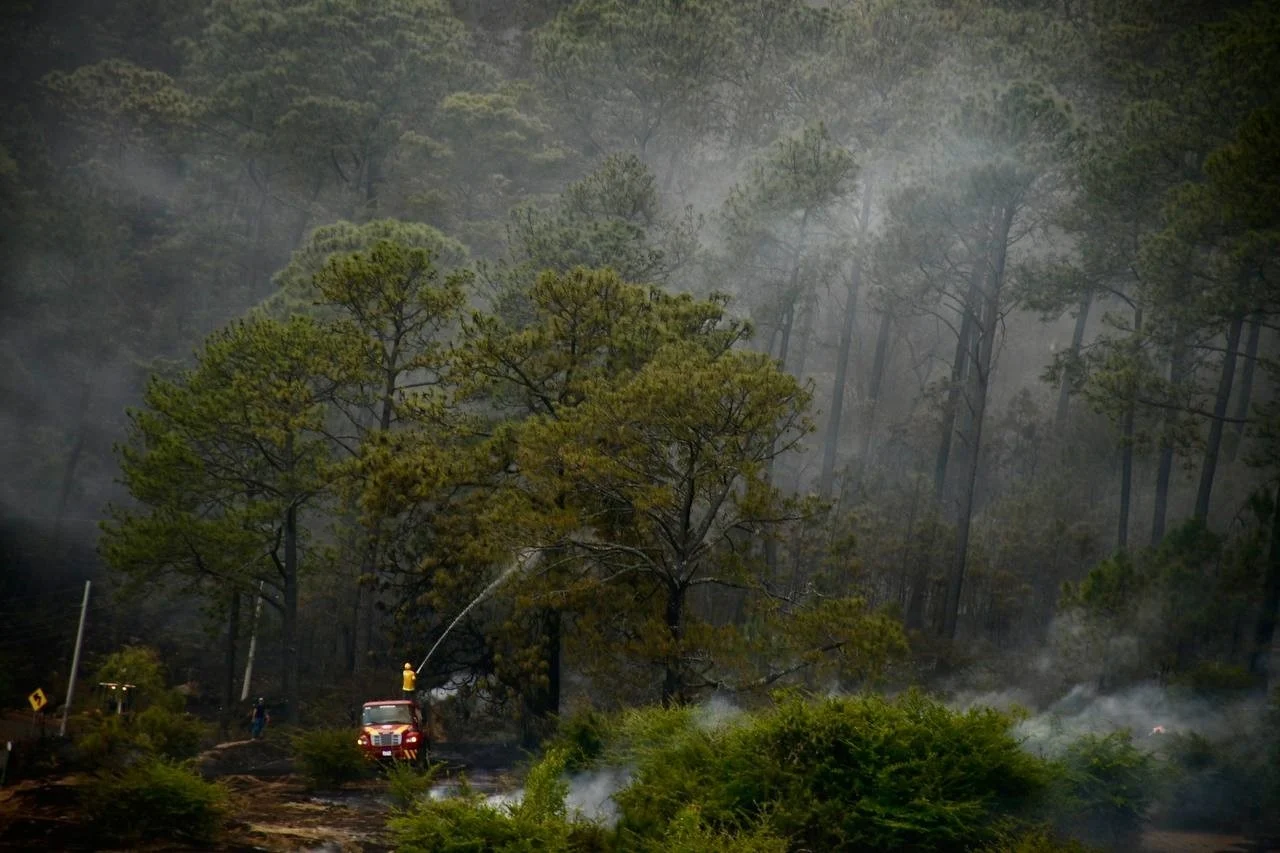 Jalisco ocupa el primer lugar en México con la mayor superficie forestal quemada: Conafor