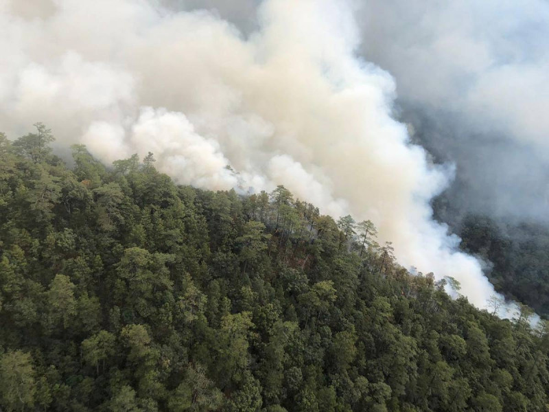 Incendios forestales en Oaxaca no dan tregua; en un día se atendieron 10 siniestros