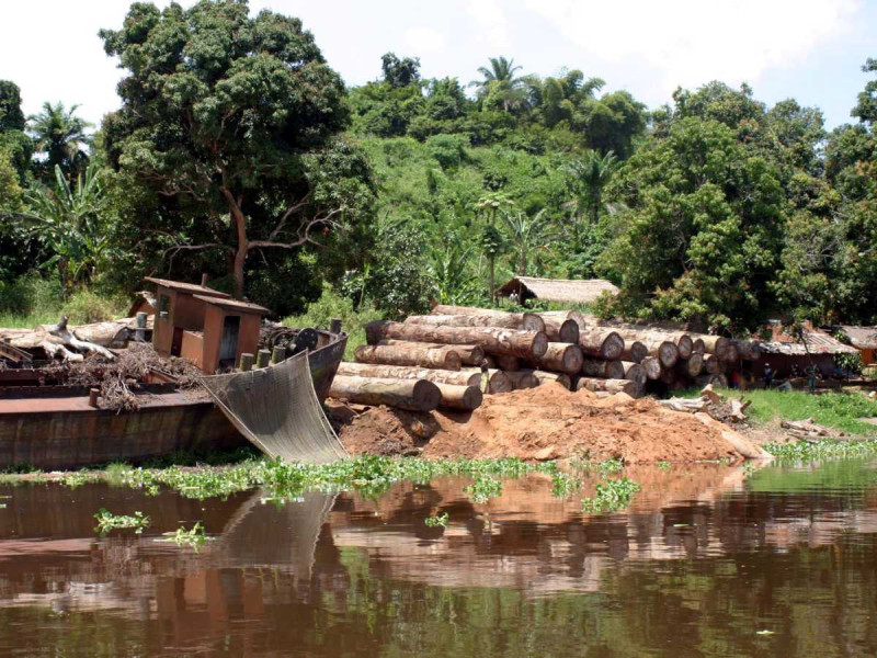 Dos bebés sobreviven al flotar en las orillas de un lago tras una inundación