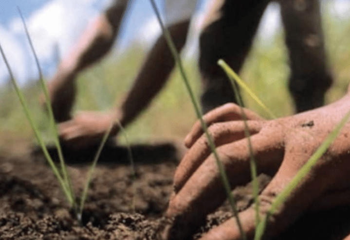 Avanza en Veracruz el programa “Mujeres por el acceso a la tierra”