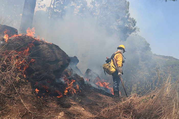 Incendio forestal en Uxpanapa ya afectó 35 hectáreas de selva