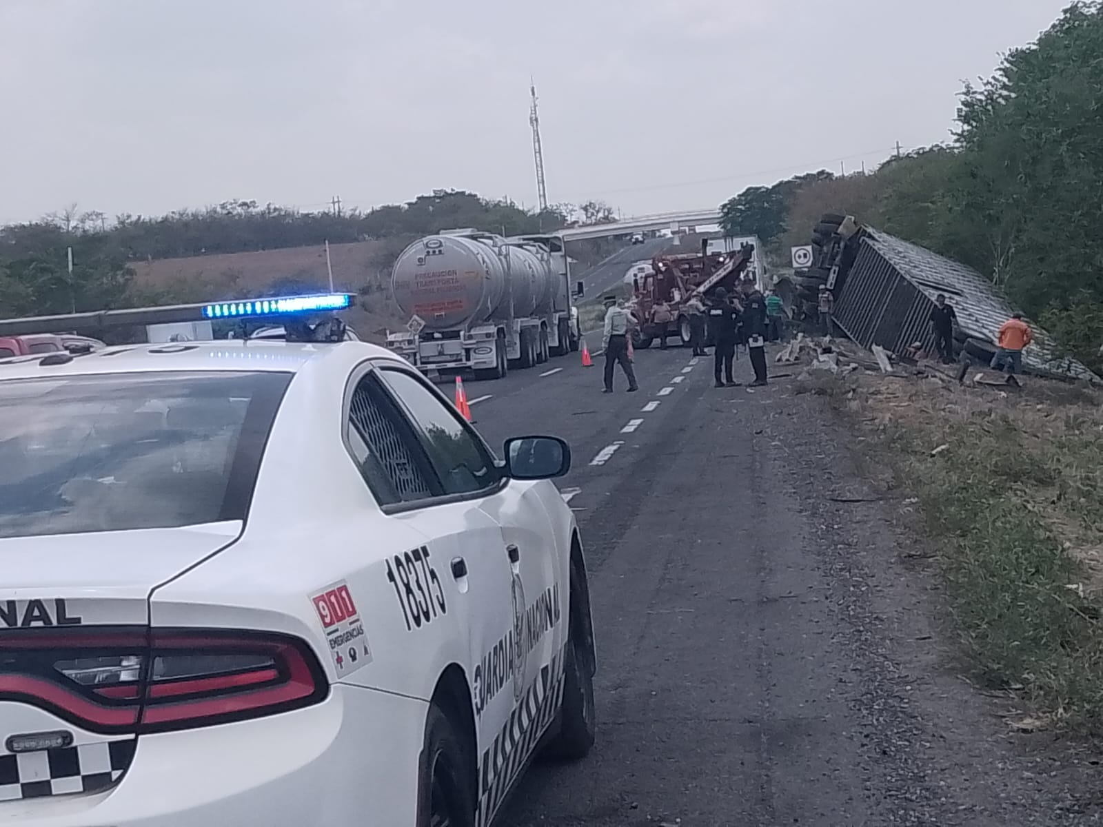 VUELCA TRACTOCAMIÓN CARGADO DE SEMOVIENTES.