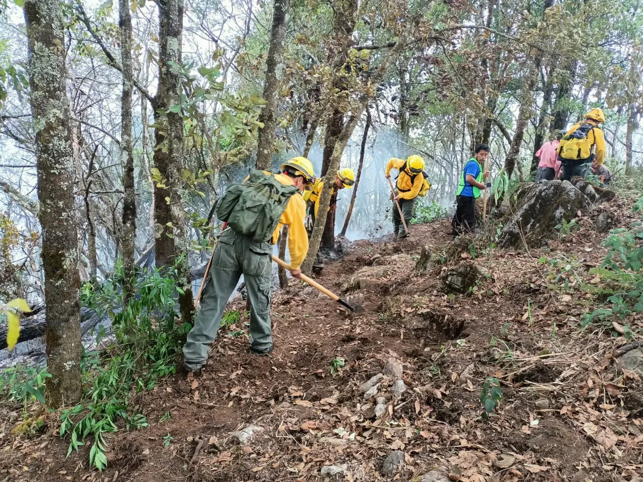 Se extienden incendios forestales en Tequila y Omealca tras caída de rayo