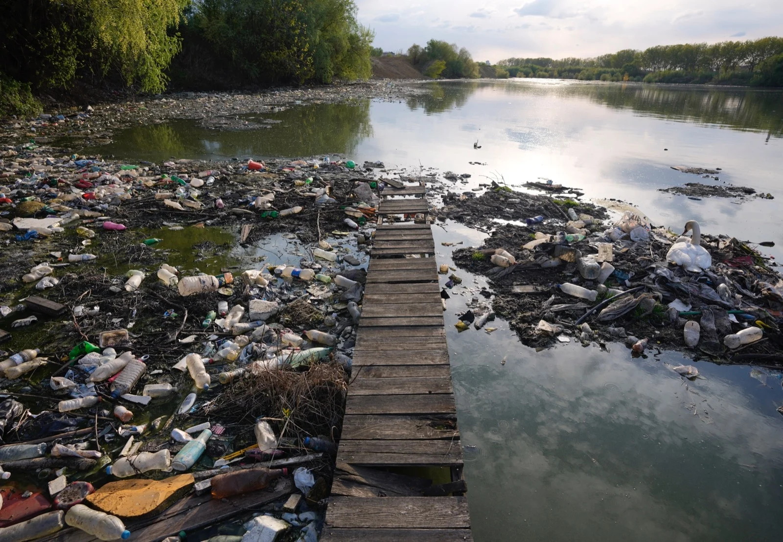 La Tierra se encuentra en peligro en casi todos los aspectos ecológicos, advierte estudio