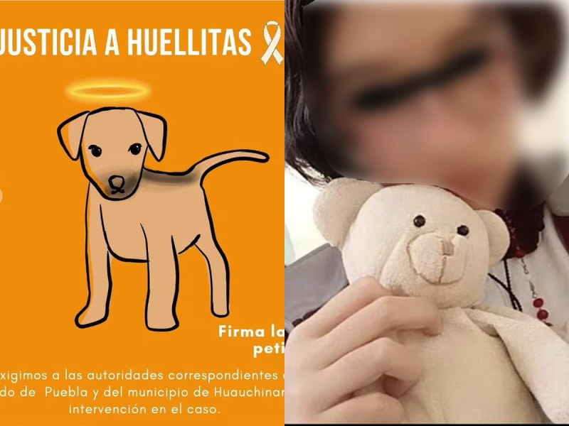 Justicia para Huellitas: Ya hay denuncia formal contra joven que mató al perrito