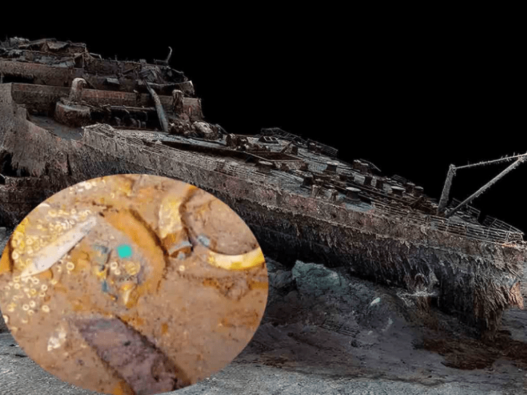 Hallan un collar de oro y un diente de Megalodón en los restos del Titanic